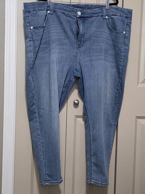 Melissa McCarthy Pencil Jeans